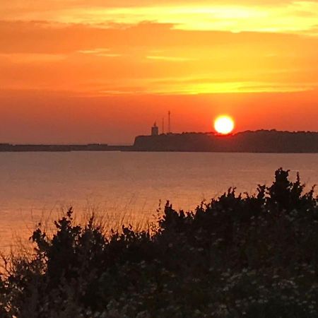 Conil, Descanso En La Dehesa Conil De La Frontera Zewnętrze zdjęcie